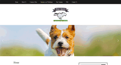 Desktop Screenshot of dfwdogquest.com